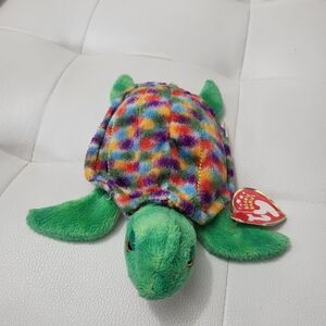 Ty "Zoom"Turtle